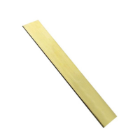 Metal Strips (0.75inch, 8ft, 0.2mm) Brass