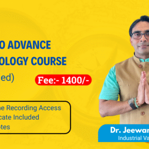 Basic to Advance Numerology Course (Recorded)
